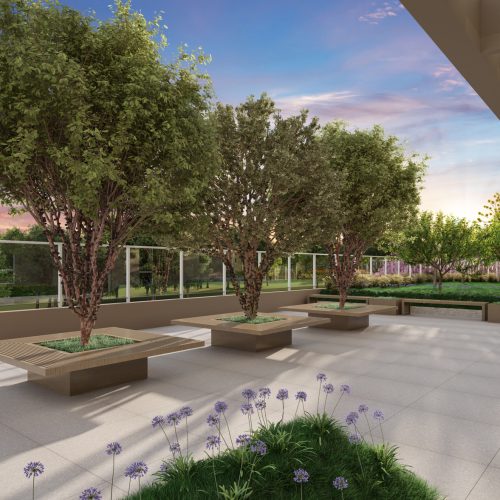 Praça sunset e pomar