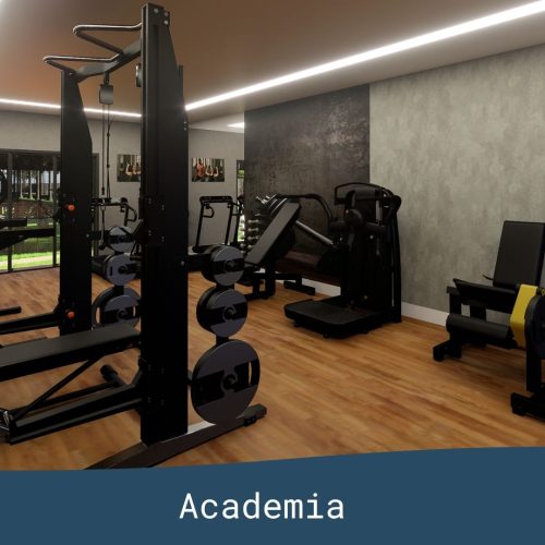 Academia